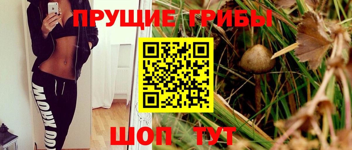 Галлюциногенные грибы MAGIC MUSHROOMS  Вход с VPN  купить закладку  Карпинск 