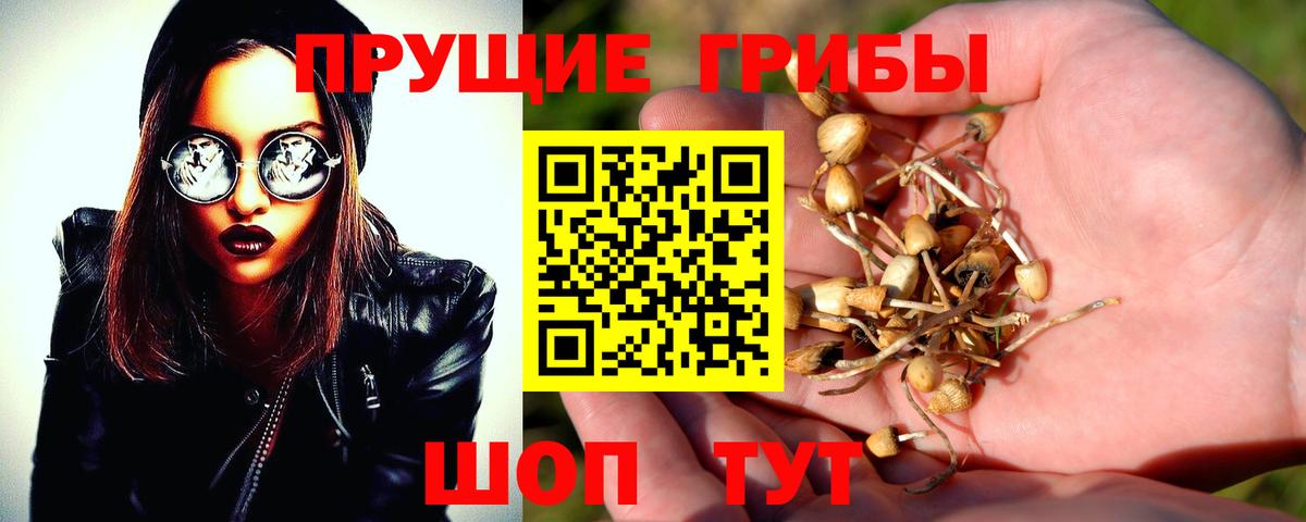 Галлюциногенные грибы мухоморы Карпинск